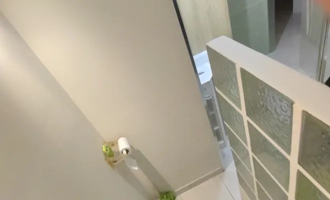 Rénovation st Laurent du var, Nice, Bertot Rénov